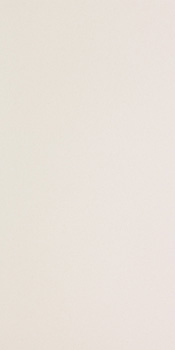 ICON WHITE 12.jpg